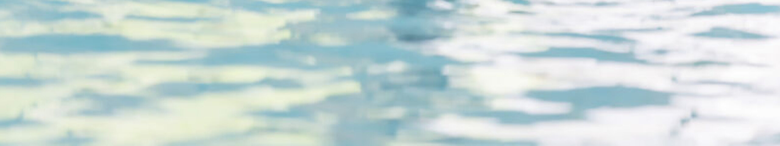 Eine Frau befindet sich im Wasser, mit Trainingsutensilien in den Händen.