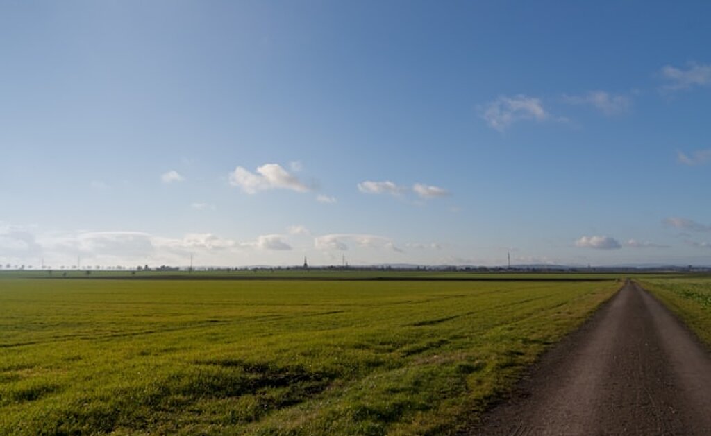 Natur Das Bild zeigt ein grünes Feld mit einem Feldweg bei blauem Himmel.