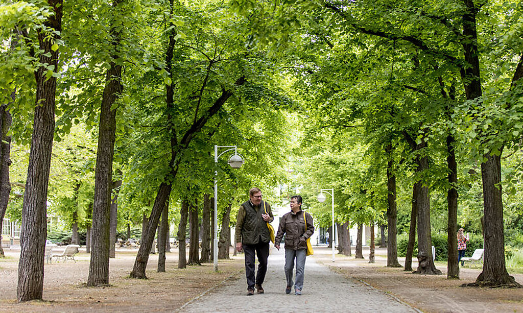 Kurpark Bad Salzelmen Ein Rehabilitand und eine Rehabilitandin gehen im Kurpark Bad Salzelmen spazieren.