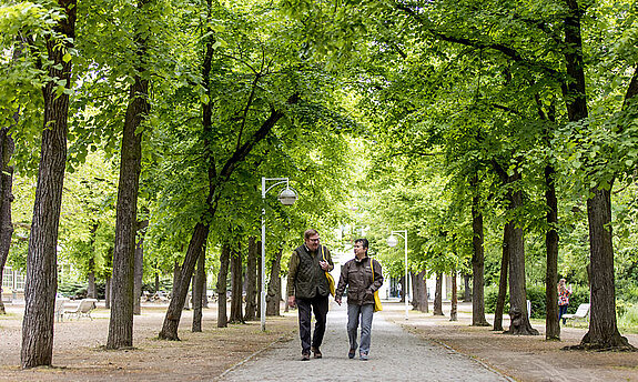 Kurpark Bad Salzelmen Ein Rehabilitand und eine Rehabilitandin gehen im Kurpark Bad Salzelmen spazieren.